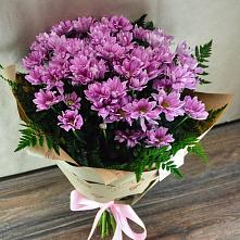 Букет цветов из:  Хризантемы #REPLACE_PRED# Колчаново